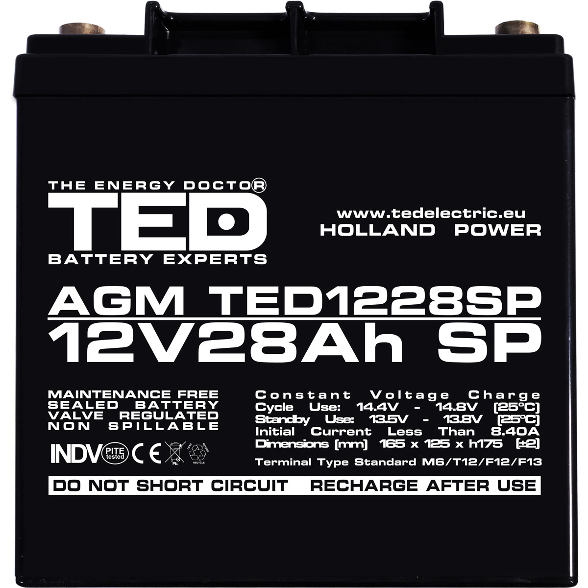 Acumulator AGM VRLA 12V 28Ah Dimensiuni Speciale 165 x 125 x 175 mm M6 - TED003430 (1) - imagine 2