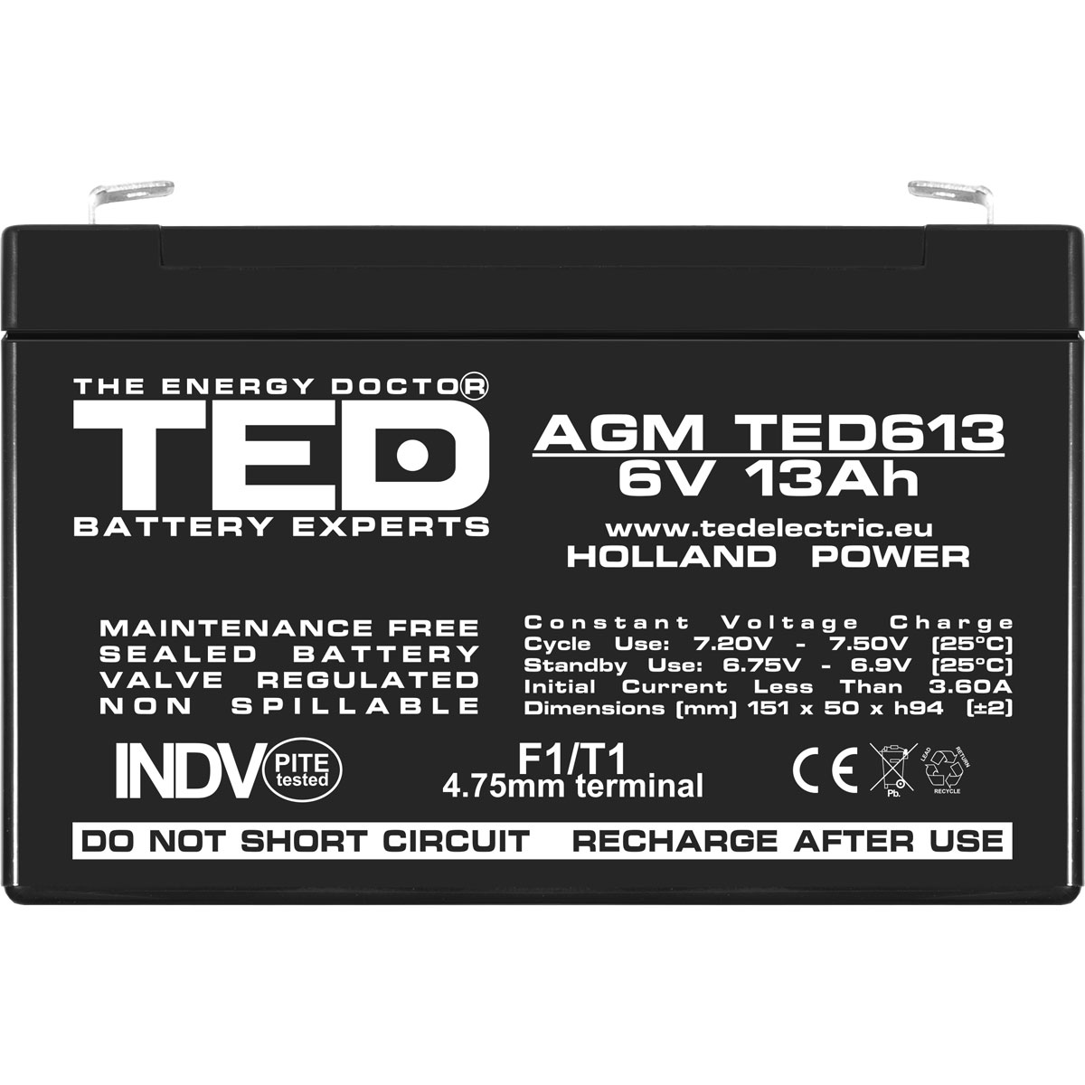 Acumulator AGM VRLA 6V 13Ah Dimensiuni 151 x 50 x 94 mm F1 - TED003010 (10) - imagine 2