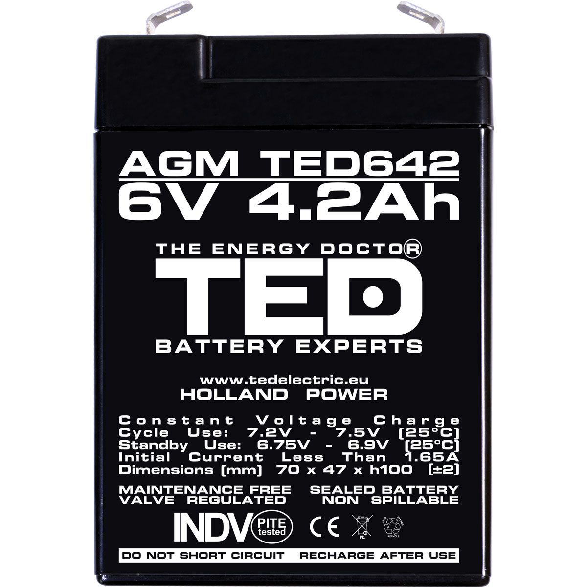 Acumulator AGM VRLA 6V 4,2Ah Dimensiuni 70 x 47 x 100 mm F1 - TED002914 (20) - imagine 2
